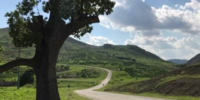 Åbn link til Om at vende hjem - fakta og viden om repatriering